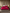 [Vin] SilkSilky-SE 19Momme Rent Silke Bedding Set 002