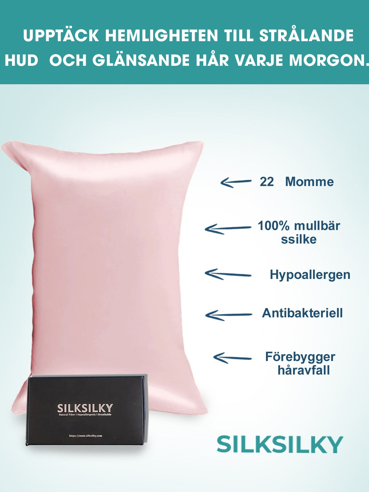 [Rosa] SilkSilky-SE 22Momme Rent Silke Pillowcase 002