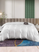 [Silver] SilkSilky-SE 25Momme Duvet Covers 002