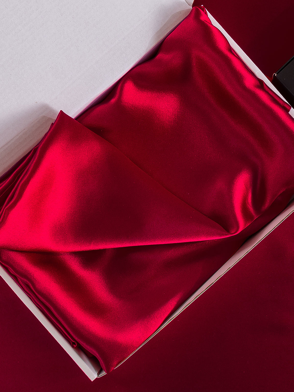 [Vin] SilkSilky-SE 19Momme Rent Silke Pillowcase 005