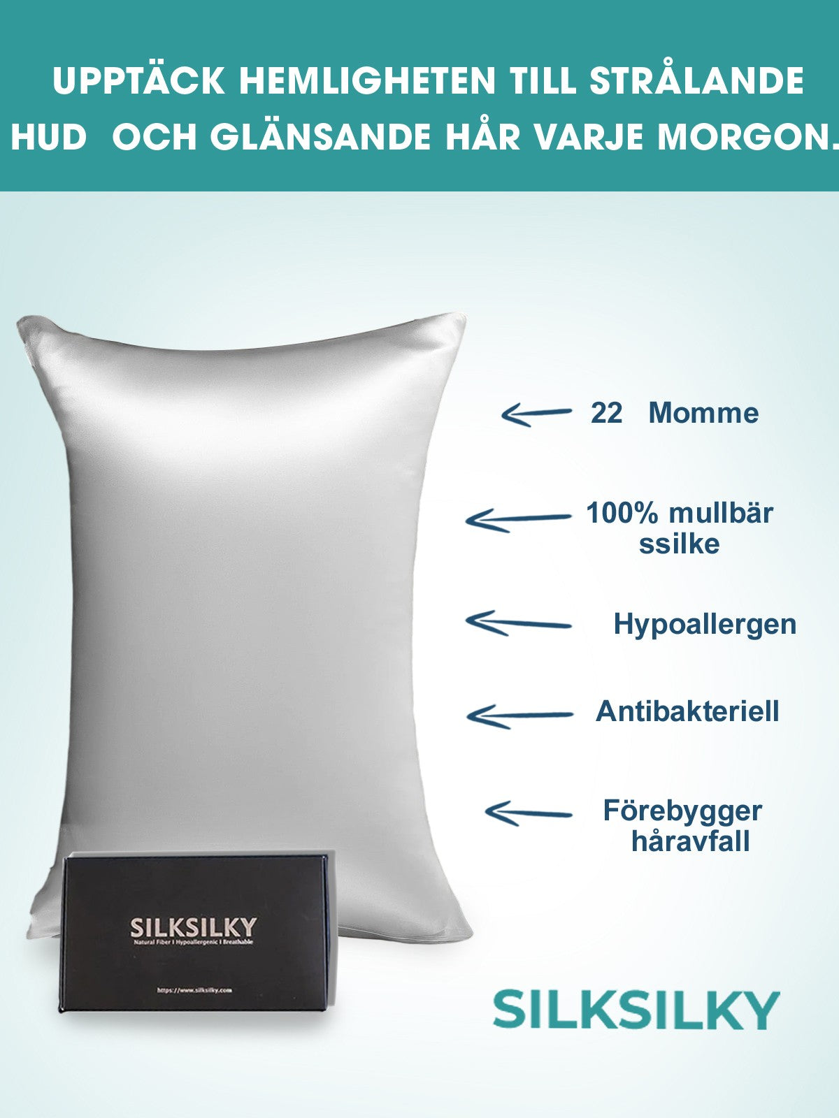 [Silver] SilkSilky-SE 22Momme Rent Silke Pillowcase 002