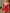 [Rosröd] SilkSilky-SE Rent Silke Ärmlös Deep V Neck Nattlinne 001