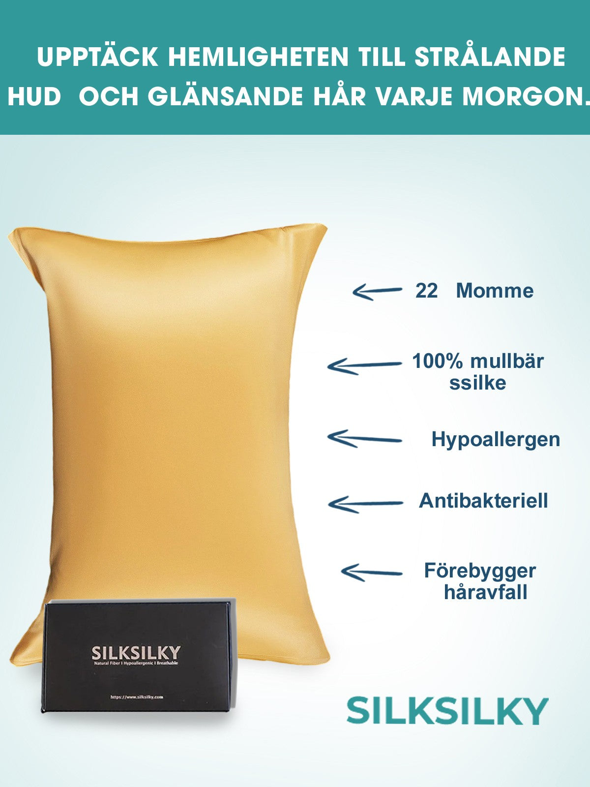 [Champagne] SilkSilky-SE 22Momme Rent Silke Pillowcase 002
