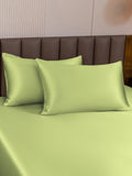 SilkSilky-SE 19Momme Rent Silke Pillowcase Mintgrön 001