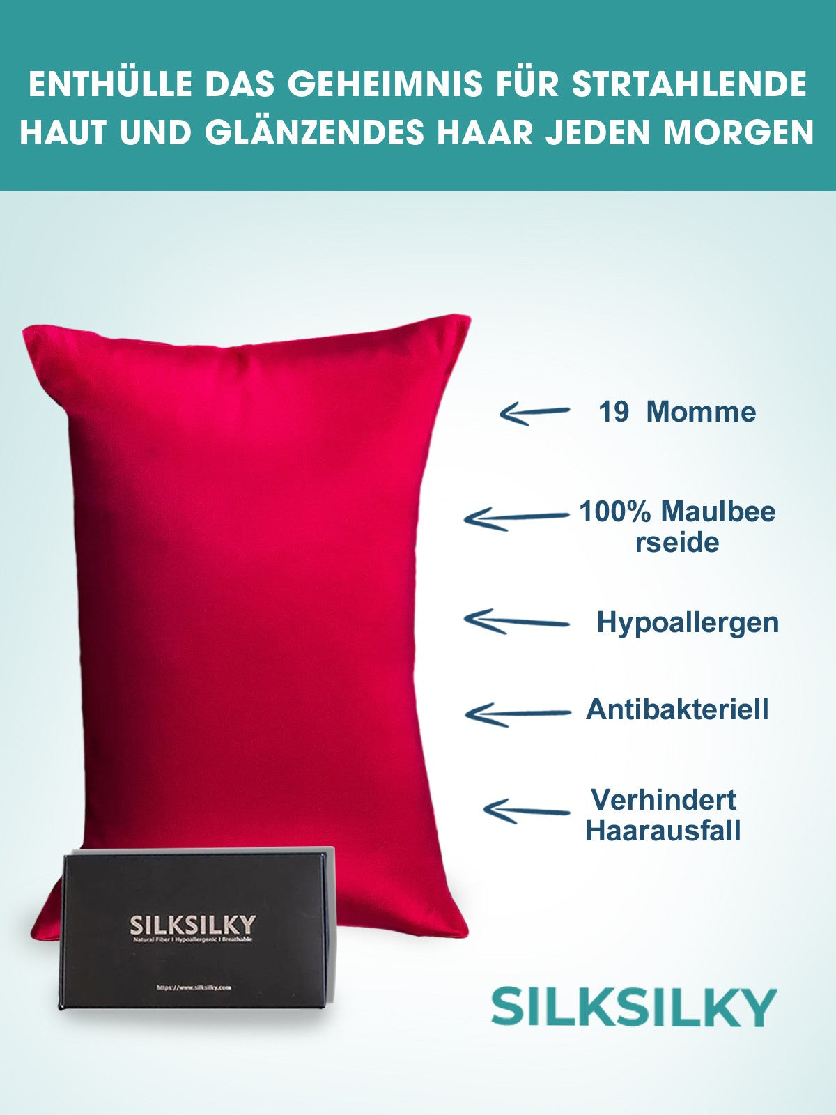 [Vin] SilkSilky-SE 19Momme Rent Silke Pillowcase 001