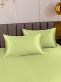 SilkSilky-SE 19Momme Rent Silke Pillowcase Mintgrön 003