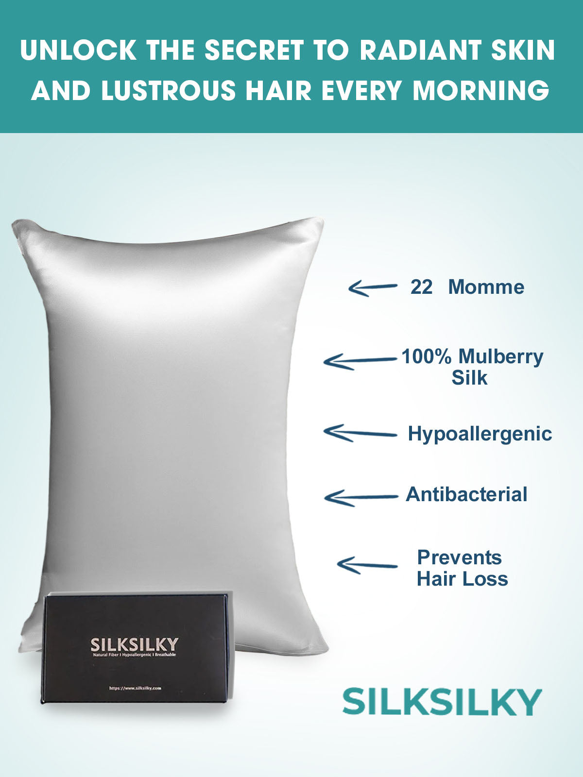 [Silver] SilkSilky-SE 22Momme Rent Silke Pillowcase 003