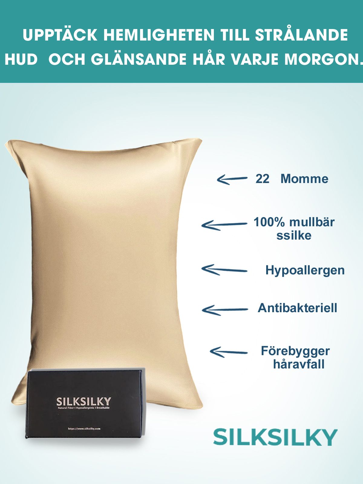 [Beige] SilkSilky-SE 22Momme Rent Silke Pillowcase 002