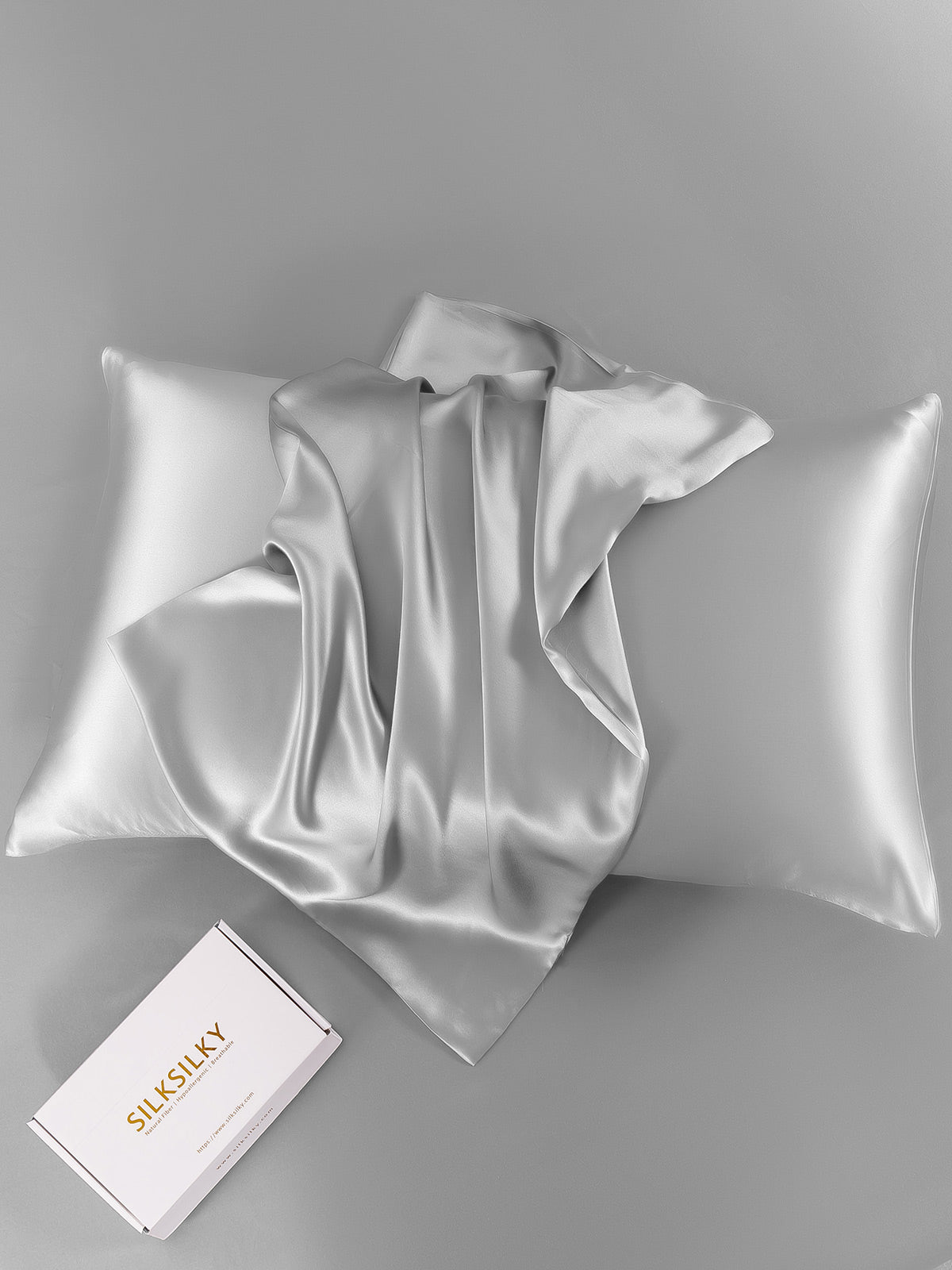 SilkSilky-SE 19Momme Rent Silke Pillowcase Silver 007