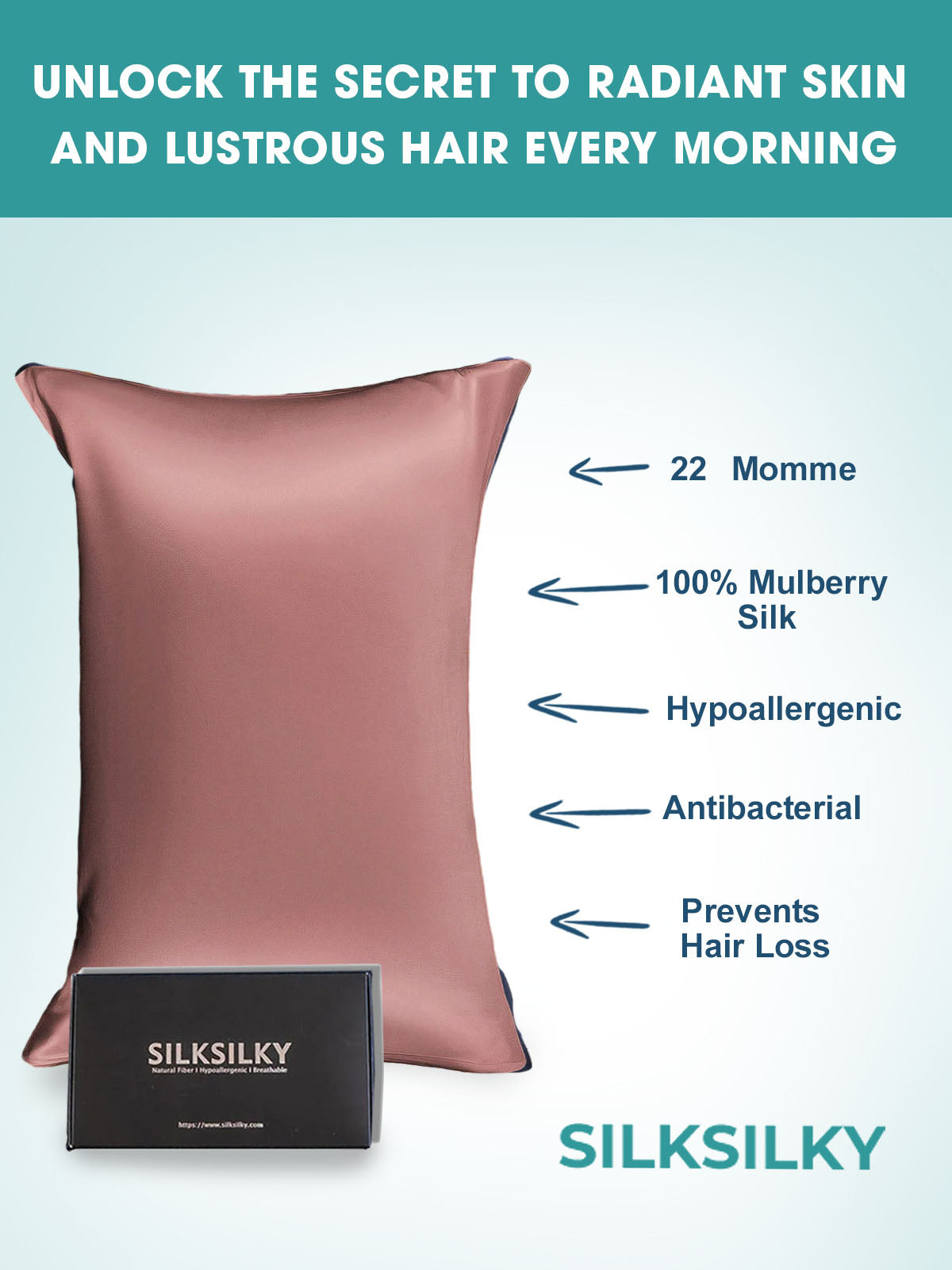 [Blek Mauve] SilkSilky-SE 22Momme Rent Silke Pillowcase 003