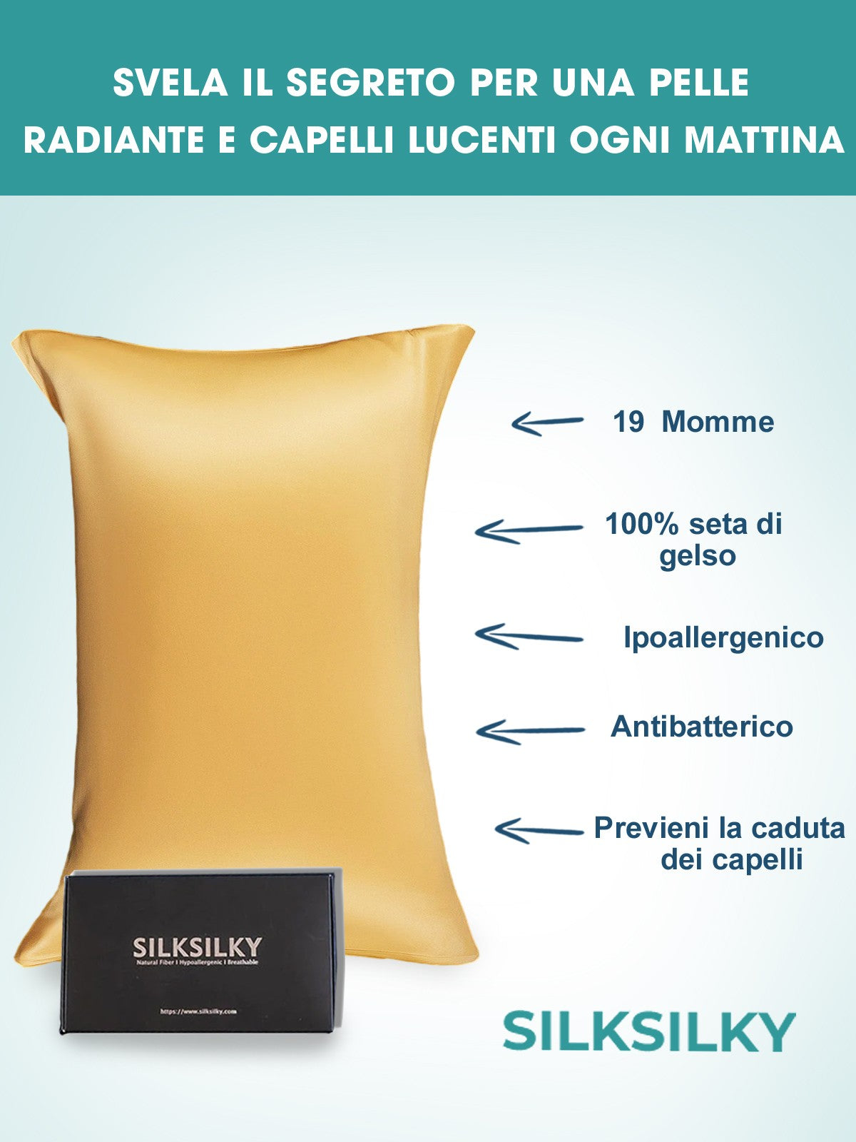 [Champagne] SilkSilky-SE 19Momme Rent Silke Pillowcase 003