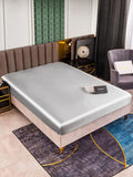 SilkSilky SE 25Momme Rent Silke Sheet Silver 001