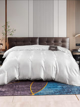 [Silver] SilkSilky-SE 22Momme Duvet Covers 001