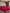 [Vin] SilkSilky-SE 19Momme Rent Silke Bedding Set 001
