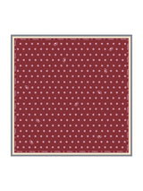 [Vin] SilkSilky-SE Scarf 001