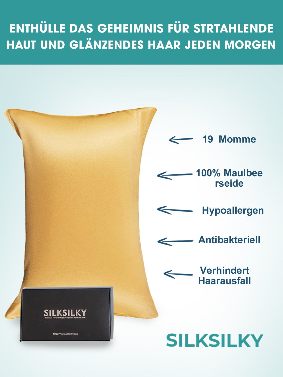 [Beige] SilkSilky-SE 19Momme Rent Silke Pillowcase 001