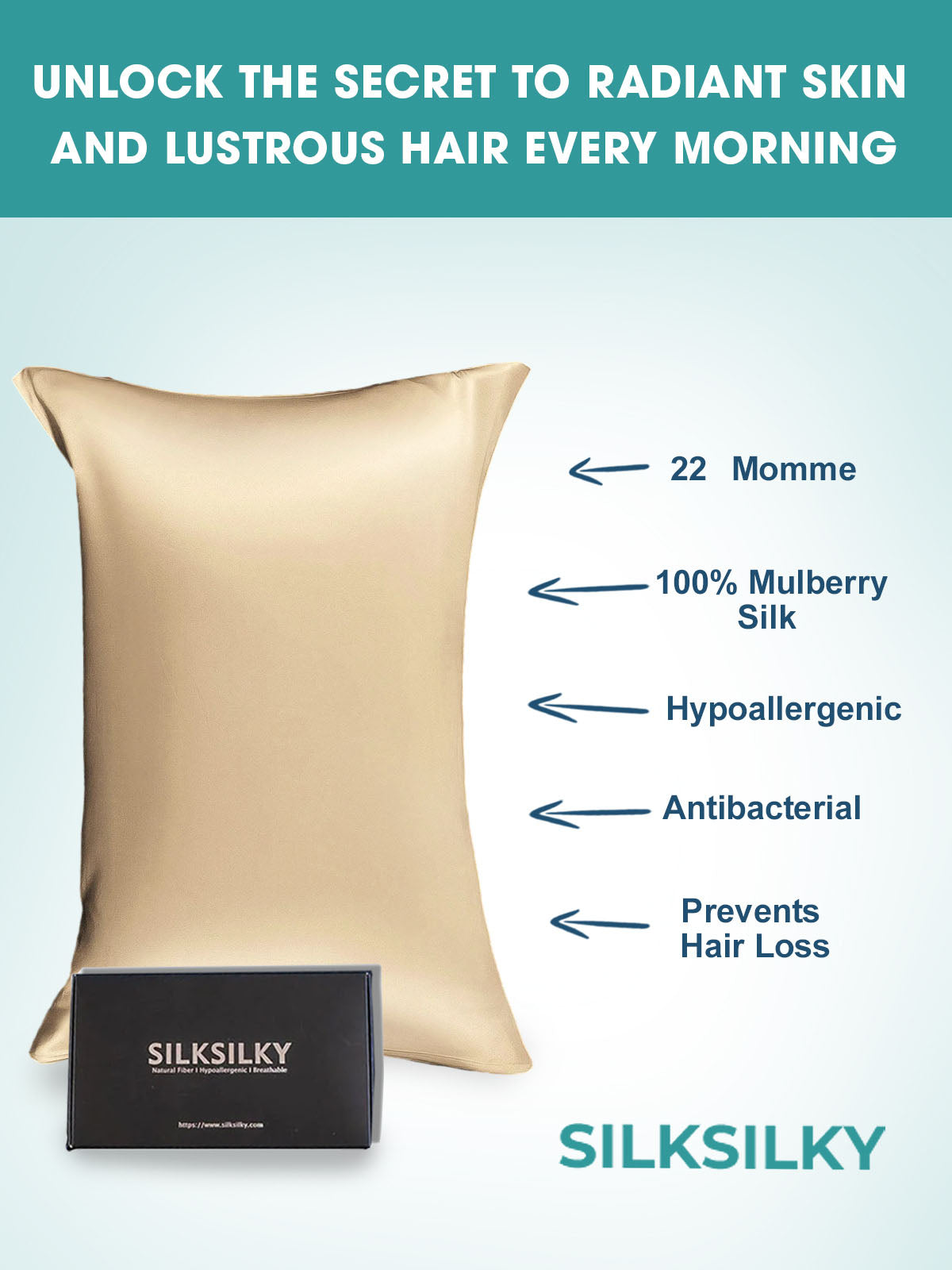 [Beige] SilkSilky-SE 22Momme Rent Silke Pillowcase 003