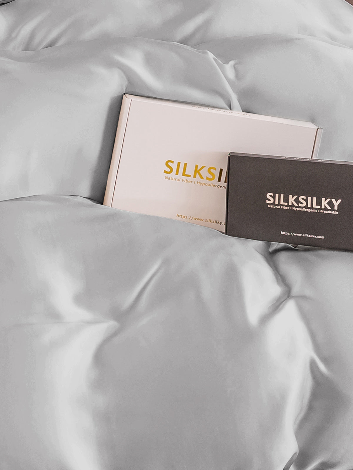 [Silver] SilkSilky-SE 22Momme Rent Silke Duvet Cover 003