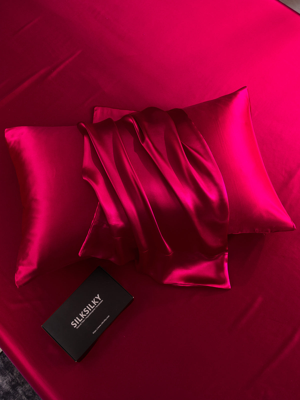 [Vin] SilkSilky-SE 22Momme Rent Silke Pillowcase 004
