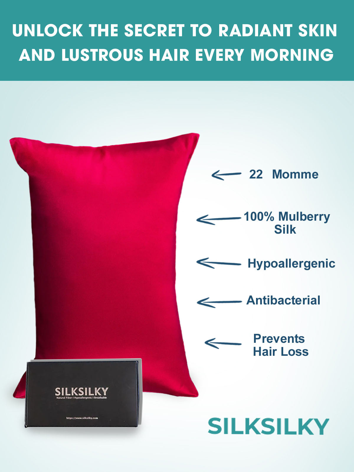 [Vin] SilkSilky-SE 22Momme Rent Silke Pillowcase 003