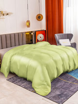 [Mintgrön] SilkSilky-SE 19Momme Duvet Covers 001