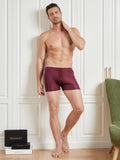 SilkSilky SE Silke Stickad Mens Underwear Vin 003