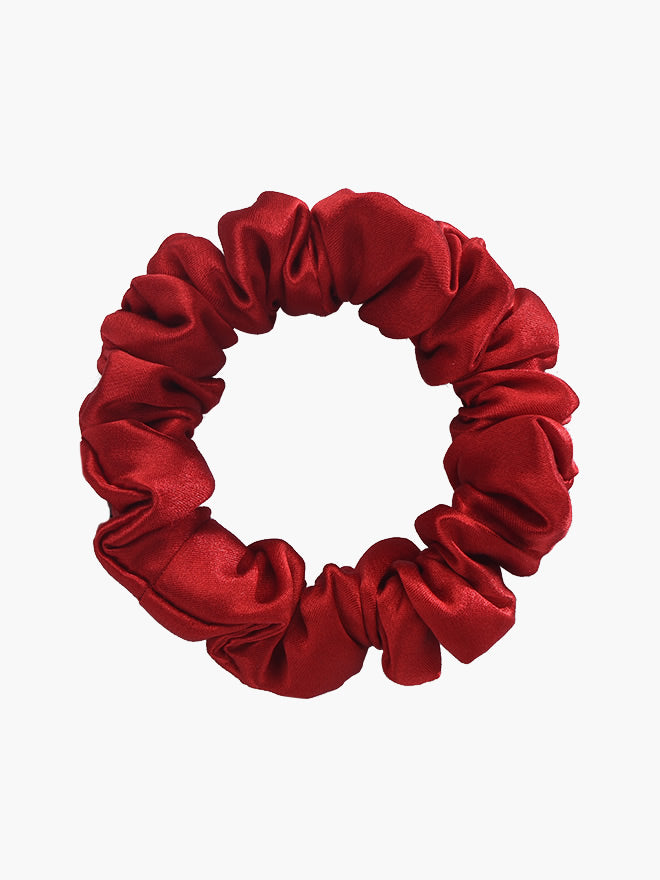 [Vin] SilkSilky-SE 19Momme Rent Silke Scrunchie 005