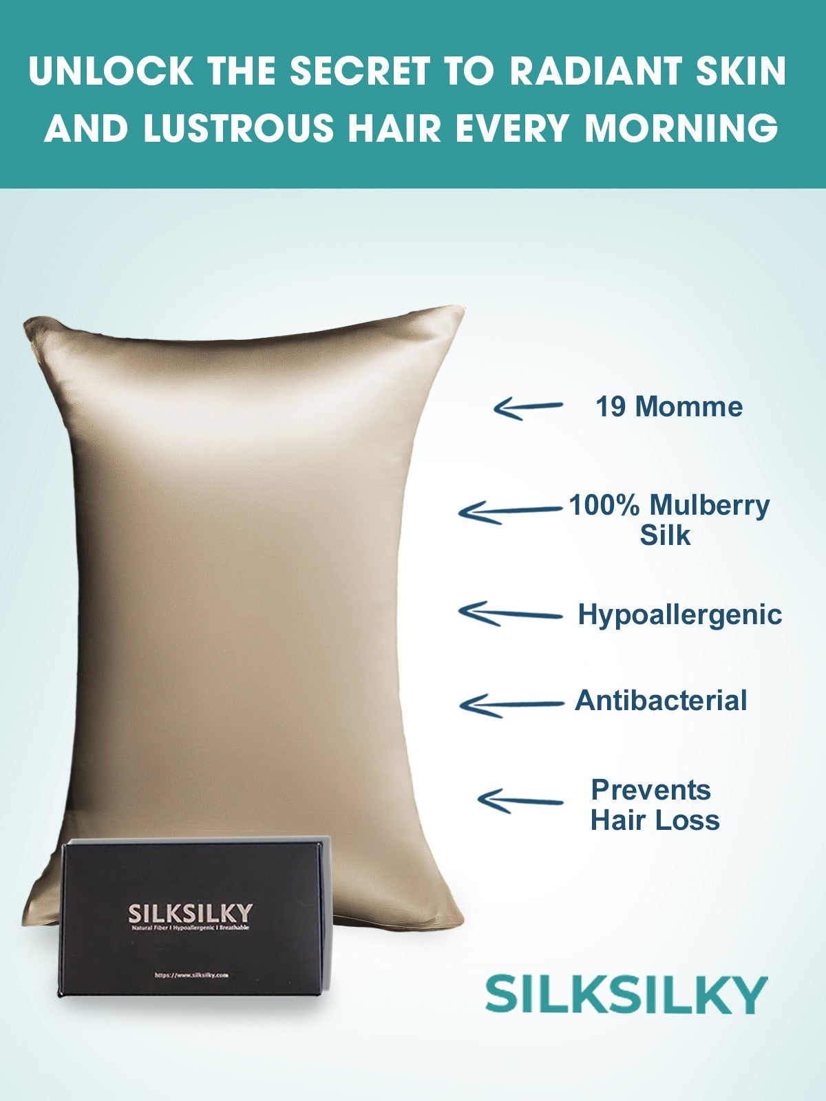 [Kaki] SilkSilky-SE 19Momme Rent Silke Pillowcase 002