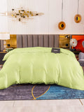 SilkSilky SE 19Momme Rent Silke Duvet Cover Mintgrön 003