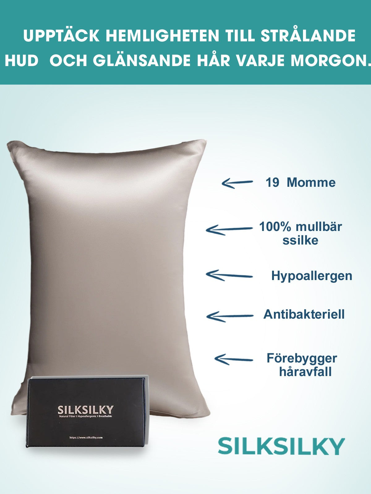 SilkSilky-SE 19Momme Rent Silke Pillowcase Grå 003